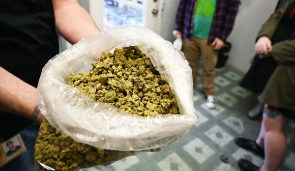 Cambios Regulatorios en Cannabis: Implicaciones Fiscales para Empresarios