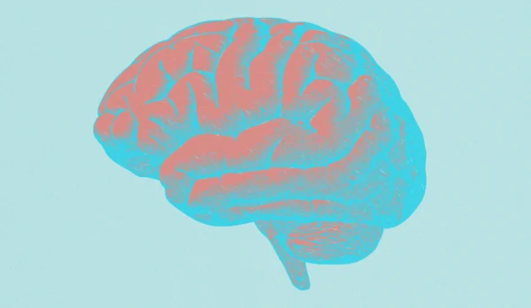 Entrenamiento Cognitivo Diario: La Ventaja Competitiva que Empresarios Ignoran