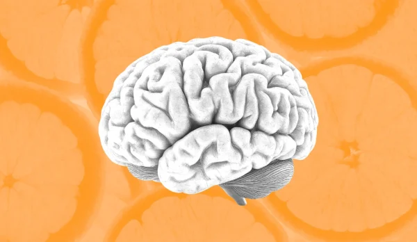 Nutrición y Productividad: Cómo la Salud Cerebral Impacta el Desempeño Empresarial Nutrición y Productividad: Cómo la Salud Cerebral Impacta el Desempeño Empresarial