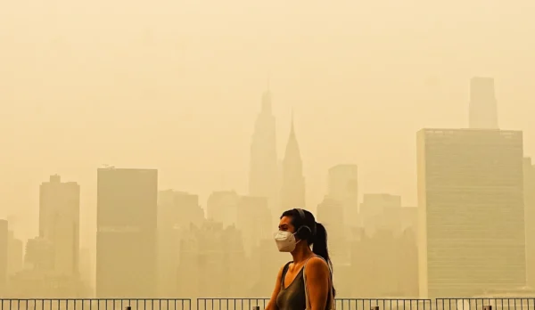Riesgos climáticos invisibles: cómo las empresas deben prepararse Riesgos climáticos invisibles: cómo las empresas deben prepararse